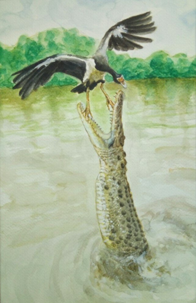 Nature study of a crocodile trying to eat a bird