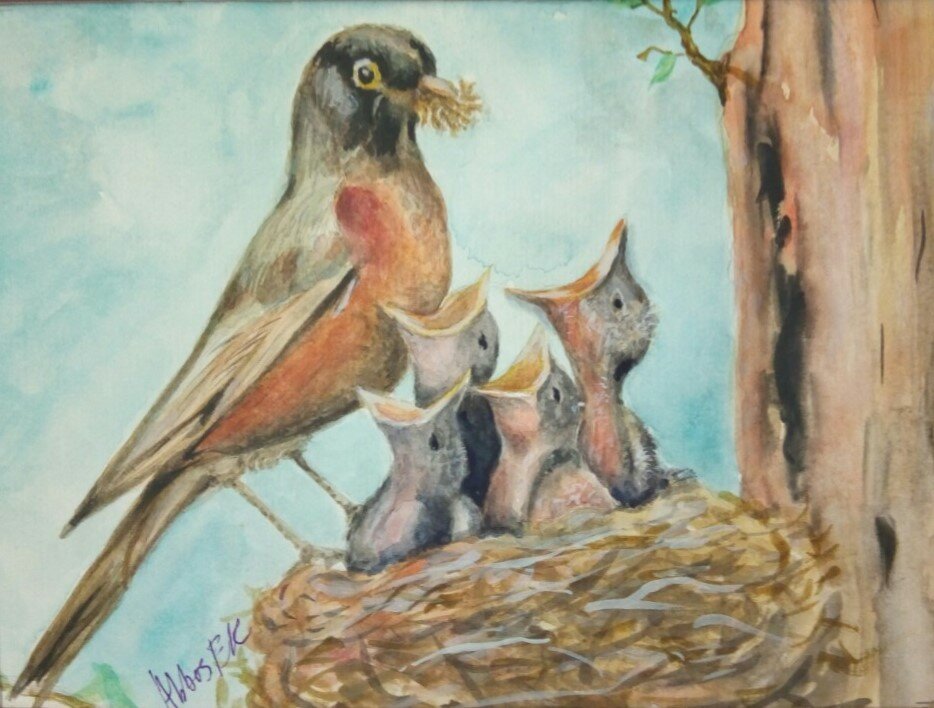 Nature study of a mother bird feeding her chicks