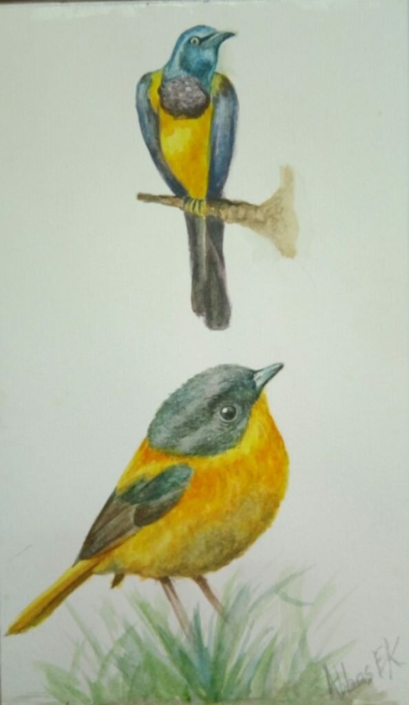 Nature study of two yellow birds